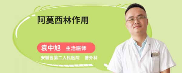 阿莫西林作用