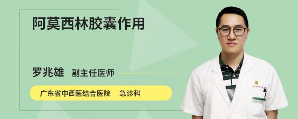 阿莫西林胶囊作用