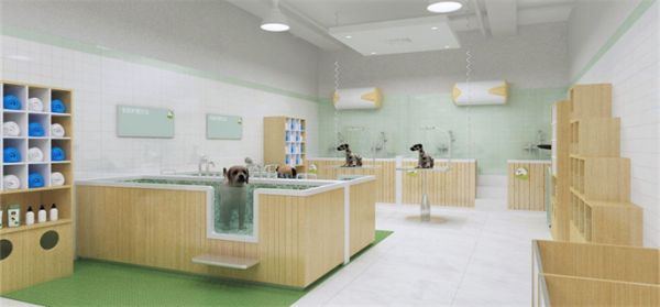 狗狗怎么卖给宠物店 