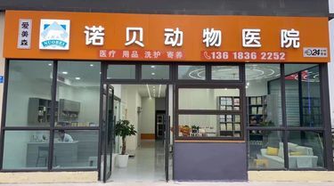 宠物医院 犬科 猫科 异宠