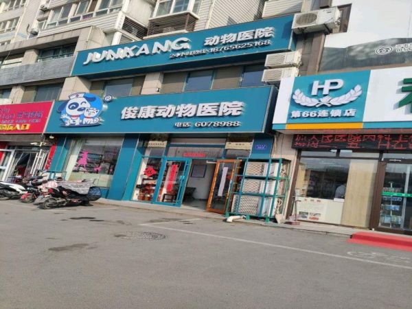 JUNKANG 动物医院