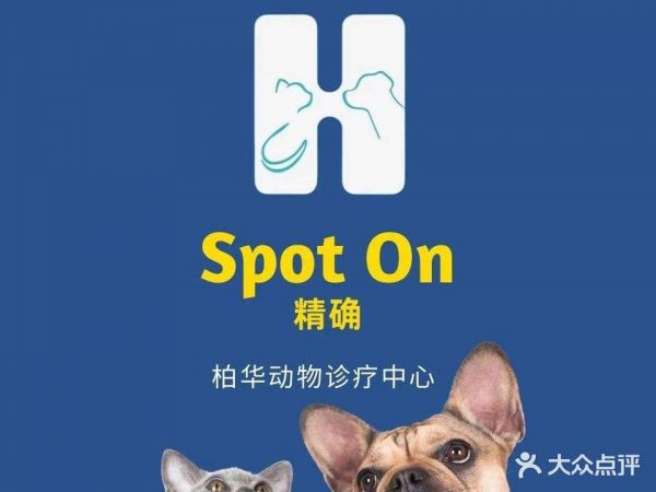 柏华宠物医院·犬猫内科·影像科