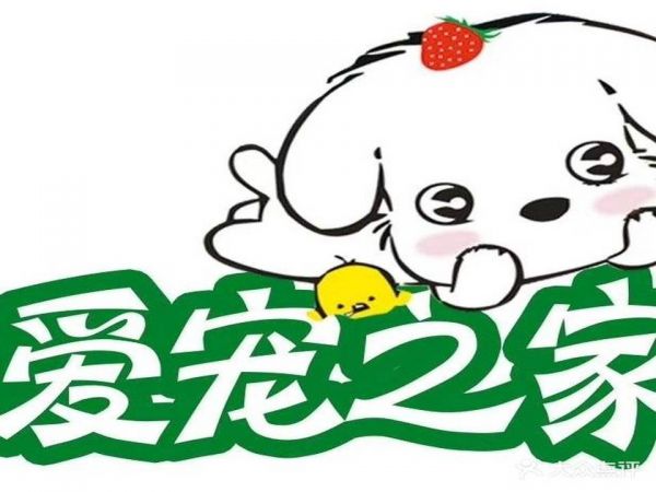 爱宠之家(宠小格品牌合作店)