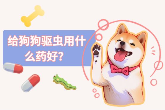 给狗狗驱虫用什么药好？