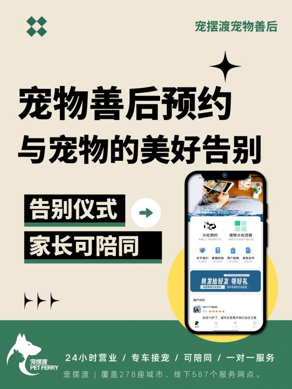 宠葬宠物丧葬：如何面对宠物离世后家庭成员的纪念需求