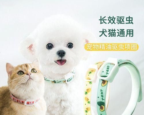 小狗去世了有什么讲究？如何正确处理宠物的后事？