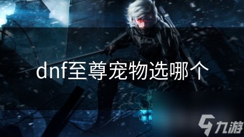 dnf至尊宠物选哪个