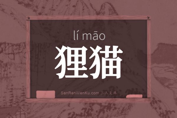 狸猫