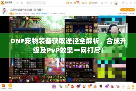 DNF宠物装备获取途径全解析，合成升级及PvP效果一网打尽！