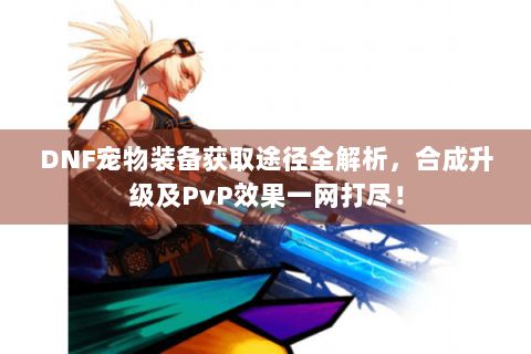 DNF宠物装备获取途径全解析，合成升级及PvP效果一网打尽！