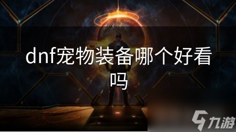 dnf宠物装备哪个好看吗