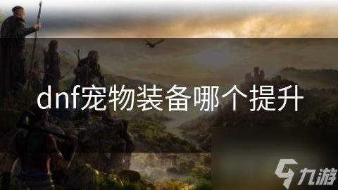 dnf宠物装备哪个提升