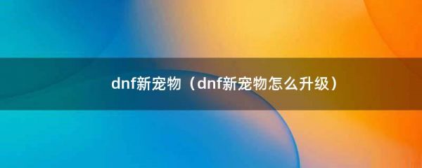 dnf新宠物（dnf新宠物怎么升级）