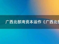 广西北部湾资本运作（广西北部湾资本运作国家政策）