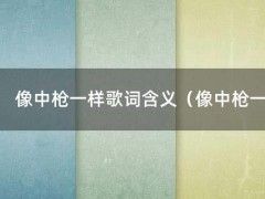 像中枪一样歌词含义（像中枪一样这首歌表达什么意思）