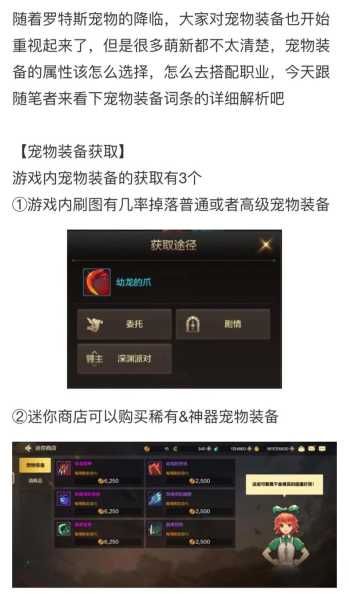 DNF宠物升级快速攻略有哪些？如何高效提升宠物等级？-第1张图片-5440游戏网