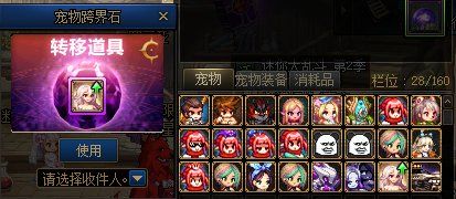 dnf宠物怎么跨界给小号升级