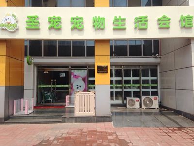 圣宠宠物店（天津河西区店）