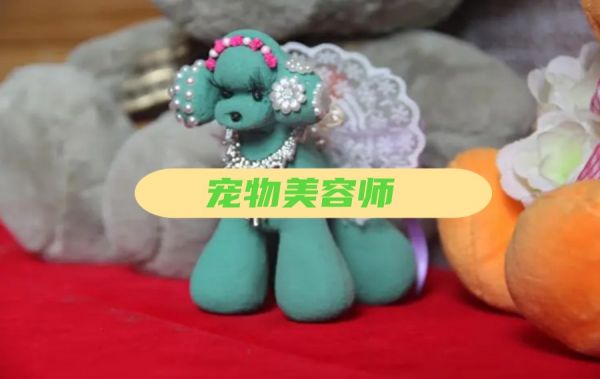 天津学宠物美容技能专业培训学校排名TOP6名单更新.jpg