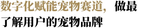 专访它主义：当代年轻人需要怎样的宠物店？