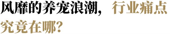 专访它主义：当代年轻人需要怎样的宠物店？