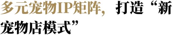 专访它主义：当代年轻人需要怎样的宠物店？