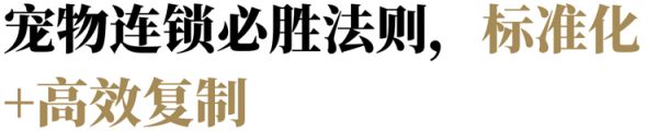 专访它主义：当代年轻人需要怎样的宠物店？