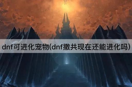 dnf可进化宠物(dnf撒共现在还能进化吗)