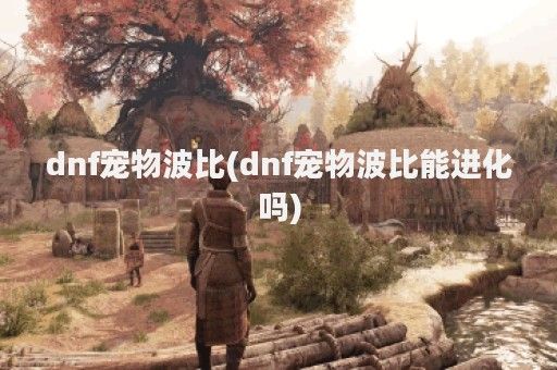 dnf宠物波比(dnf宠物波比能进化吗)
