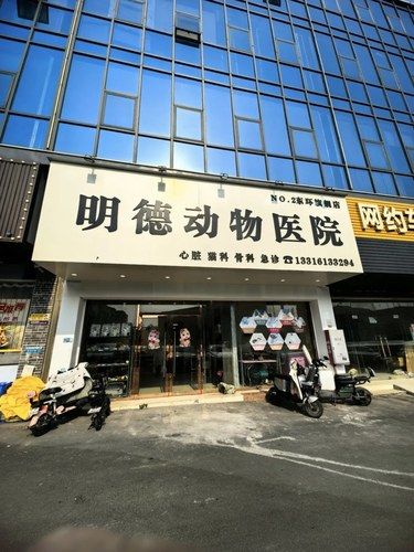 经验丰富，宠物生病就来这儿