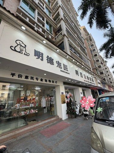 环境超赞！带毛孩看病不再焦虑