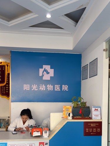 美容记