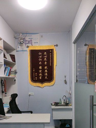  体检
