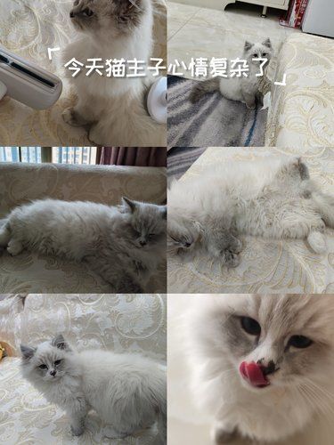 打疫苗