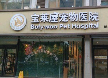 医院里的猫咪日常