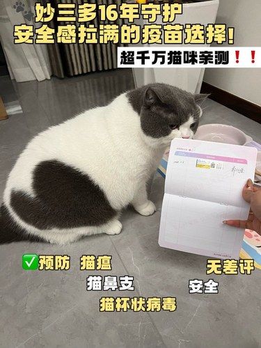 千万猫咪验证！妙三多是猫咪疫苗安全首选 