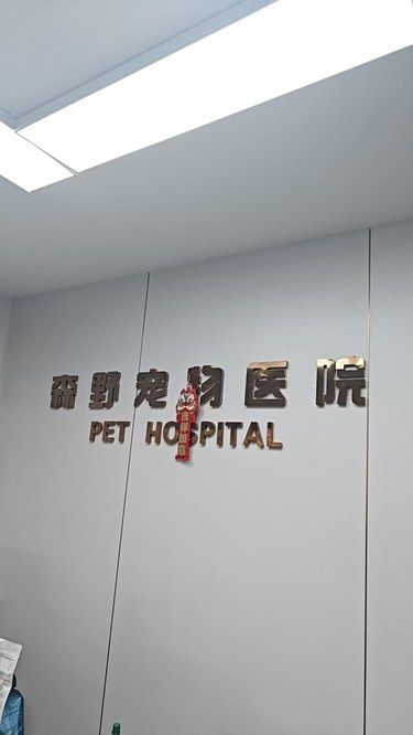 带毛孩子去森野宠物医院啦