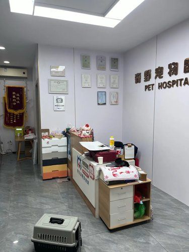 带着毛孩子体检的一天