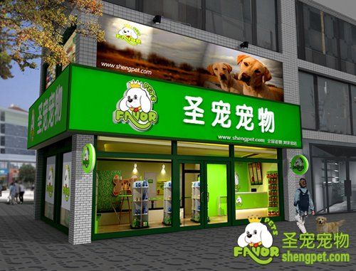 创业加盟开宠物美容店前景分析