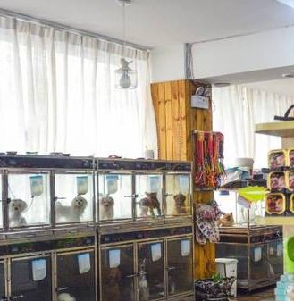 连锁宠物店
