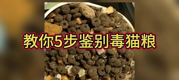 滋奇猫粮为何被称为毒猫粮？有哪些安全问题？