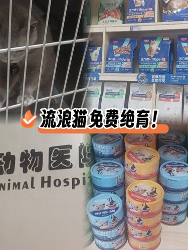 发现一家宝藏动物医院！流浪猫免费绝育