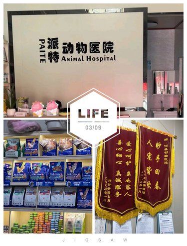 增城铲屎官必看！这家宝藏动物医院别错过‼️