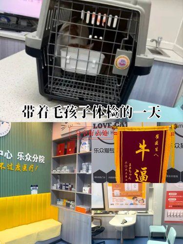 这家宠物友好医院，简直是毛孩子的天堂