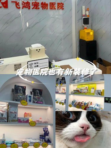 性价比之选！飞鸿宠物医院超实惠！ 