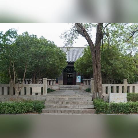 全球热门宠物会馆盘点，揭秘世界最受欢迎的宠物胜地排名