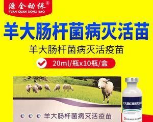 全面解读狗宝疫苗价格表（不再担心被坑，轻松掌握疫苗价格）