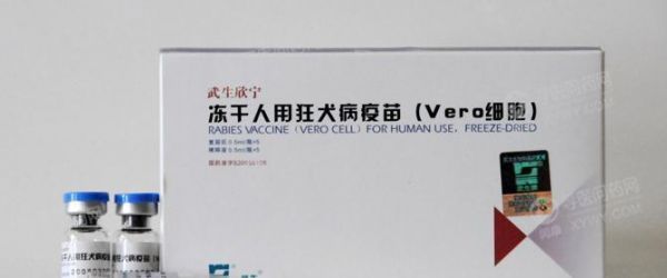 全面解读狗宝疫苗价格表（不再担心被坑，轻松掌握疫苗价格）