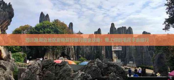 四川及周边地区宠物友好旅行团全攻略：带上你的毛孩子去旅行