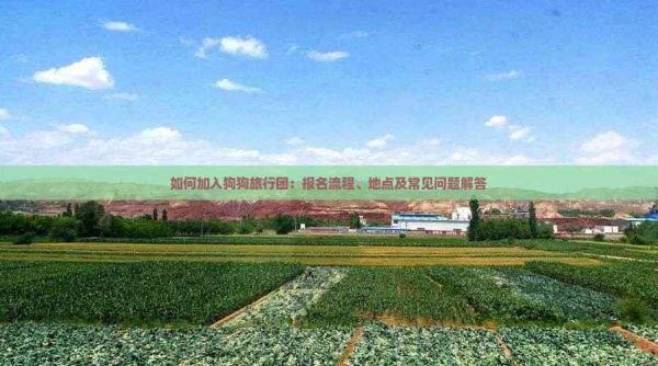 如何加入狗狗旅行团：报名流程、地点及常见问题解答